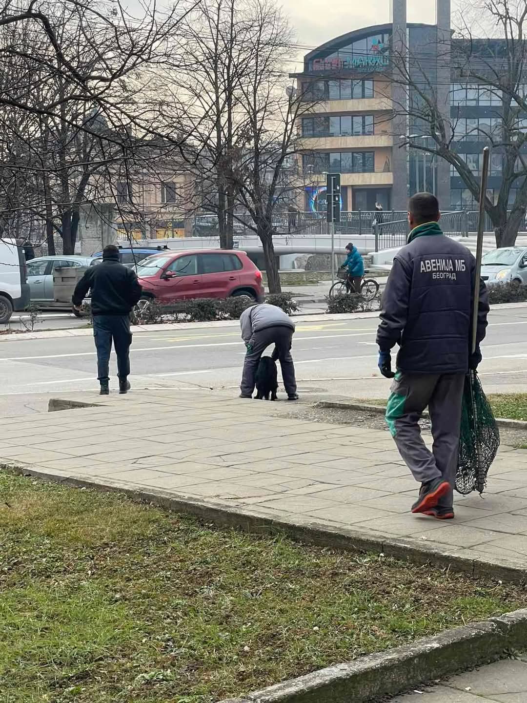 Okrutnost Avenije u Paraćinu